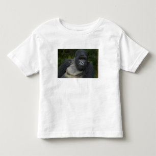 Camiseta Infantil Gorila da Montanha e Dorso Prateado