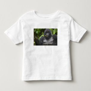 Camiseta Infantil Gorila da Montanha e Silverback
