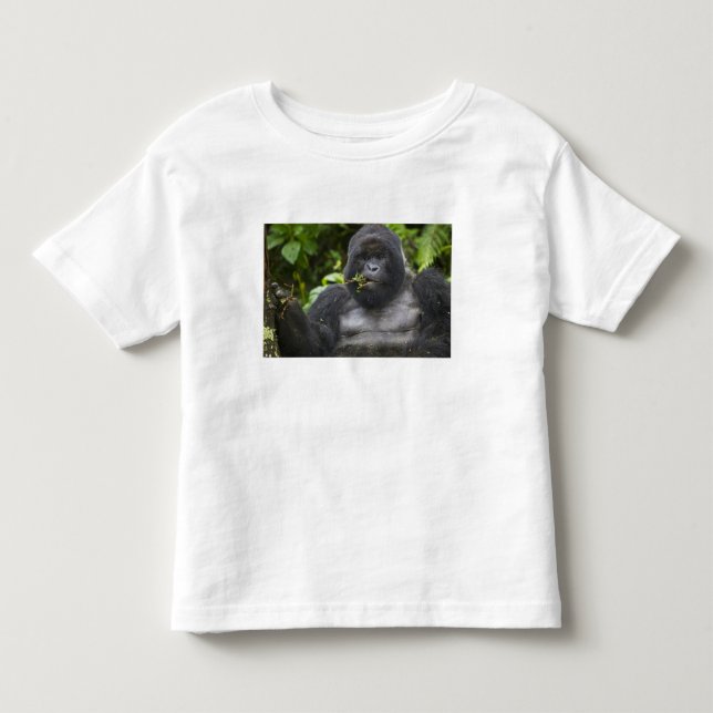 Camiseta Infantil Gorila da Montanha e Silverback (Frente)