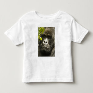 Camiseta Infantil Gorila-da-montanha, Gorilla beringei beringei,