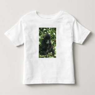 Camiseta Infantil Gorila da Montanha, (Gorilla gorilla beringei),