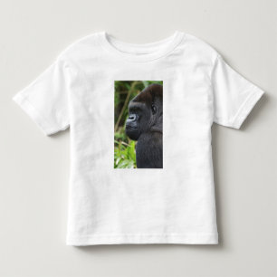 Camiseta Infantil Gorila-de-costas-silverback, Gorila Cativo