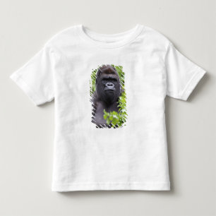 Camiseta Infantil Gorila-de-costas-silverback, Gorilla gorilla,