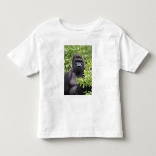 Camiseta Infantil Gorila-de-costas-silverback, Gorilla gorilla,