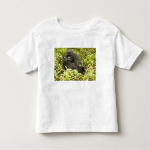 Camiseta Infantil Gorila de montanha, Gorilla beringei (anteriorment