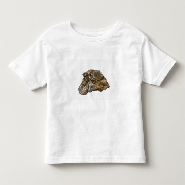 Camiseta Infantil Grafite, Danville, Vermont, EUA (Frente)