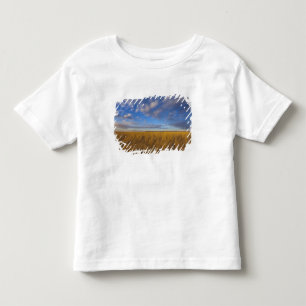 Camiseta Infantil Grama-trigo e céus dramáticos em Freezeout Lake