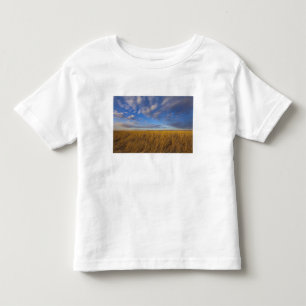 Camiseta Infantil Grama-trigo e céus dramáticos no Lago Freezeout