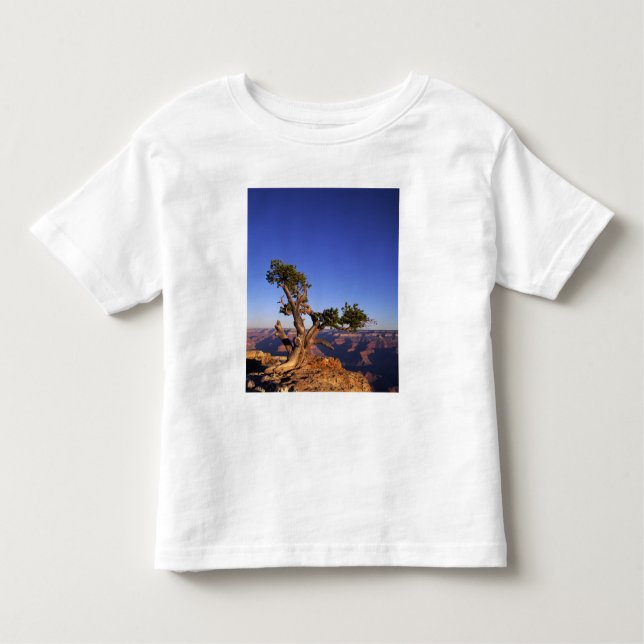Camiseta Infantil Grand Canyon, Arizona, EUA (Frente)