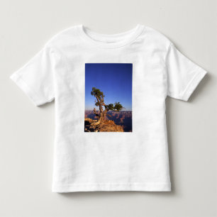 Camiseta Infantil Grande Canyon, Arizona, EUA