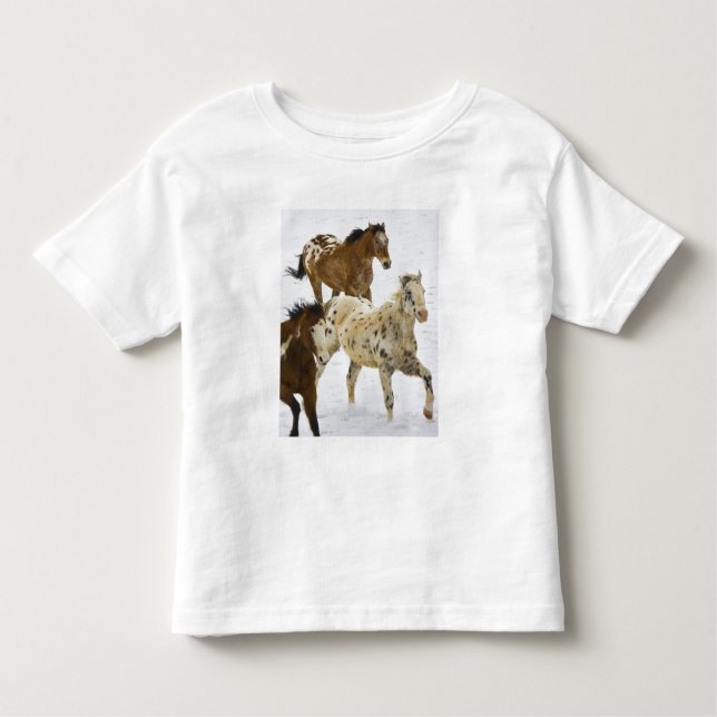 Camiseta Infantil Grandes Montanhas do Corno, Cavalos correndo na ne (Frente)
