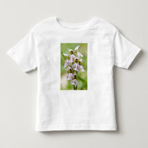 Camiseta Infantil Grécia, Creta. Orquídea em flor Orchis