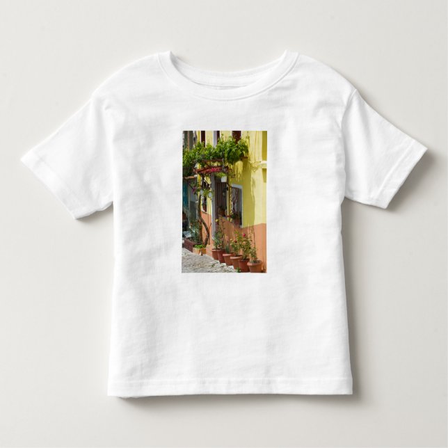 Camiseta Infantil GRÉCIA, Ilhas do Egeu Nordeste, LESVOS (Frente)
