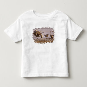 Camiseta Infantil Grou-de-areia (Grus canadensis) Platte
