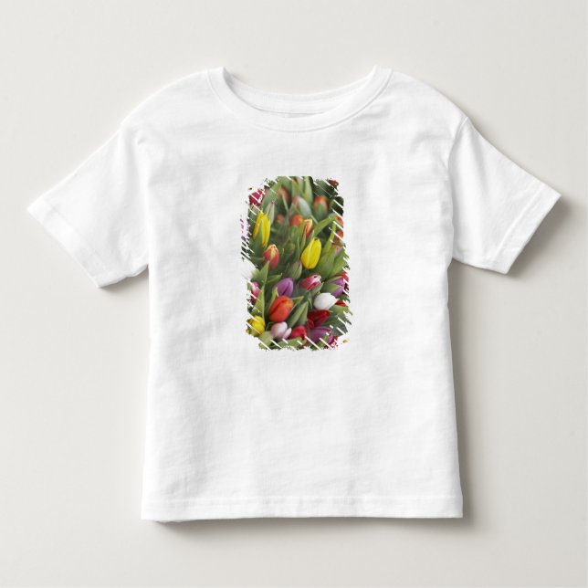 Camiseta Infantil Grupos de tulipas coloridas (Frente)