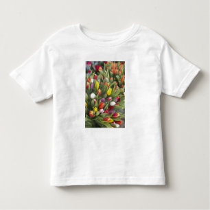 Camiseta Infantil Grupos de tulipas coloridas
