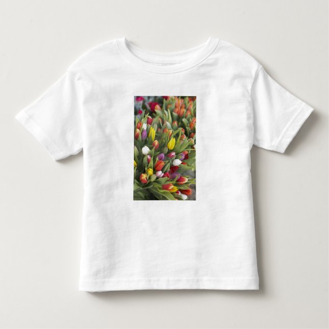 Camiseta Infantil Grupos de tulipas coloridas (Frente)