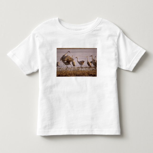 Camiseta Infantil Grus canadensis Platte (Frente)