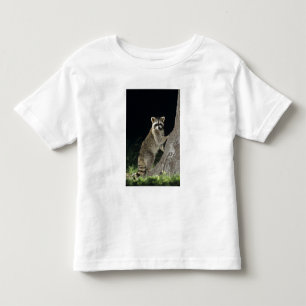 Camiseta Infantil Guaxinim-do-norte, Procyon lotor, adulto em árvore