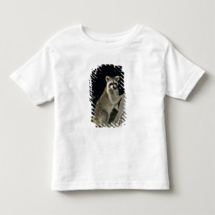 Camiseta Infantil Guaxinim-norte-americano, Procyon lotor, adulto em