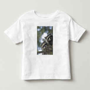 Camiseta Infantil Guaxinins Procyon Lotor) do Fish Lake, Central