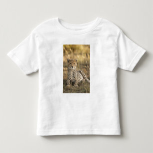 Camiseta Infantil Guepardo, Acinonyx jubatus