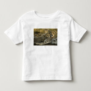 Camiseta Infantil Guepardo, Acinonyx jubatus, com filhote no Masai 2