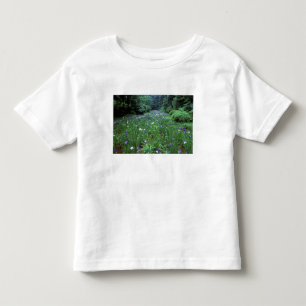Camiseta Infantil Hana Shobu (Íris Japonesa de Água), Santuário Meij