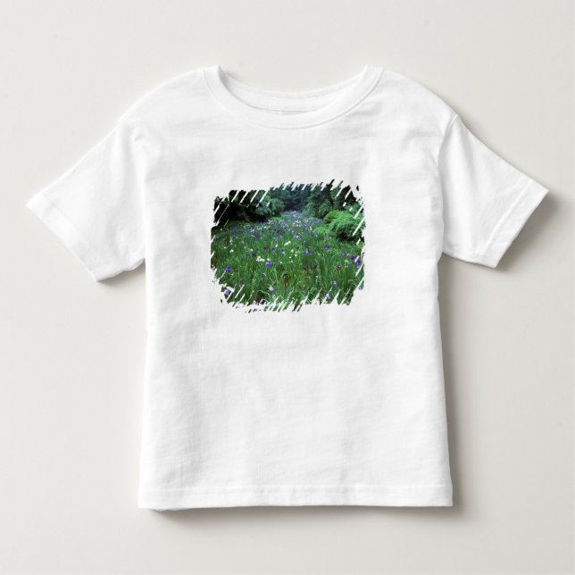 Camiseta Infantil Hana Shobu (Japonês Water Iris), Santuário Meiji, (Frente)