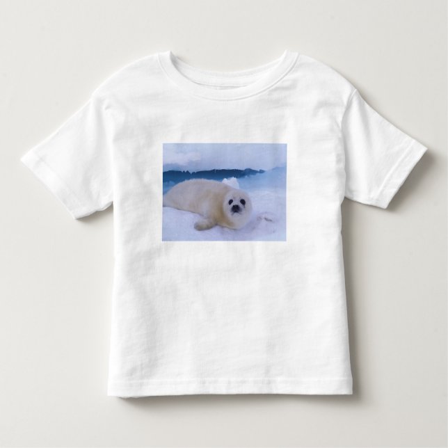 Camiseta Infantil Harp Seal North America, Canada, Quebec (Frente)