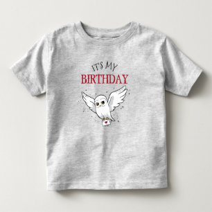 Camiseta Infantil Harry Potter Hedwig Entrega Especial Aniversário