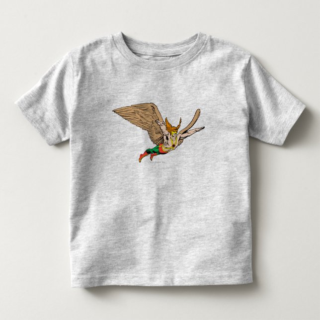 Camiseta Infantil Hawkman Flies (Frente)