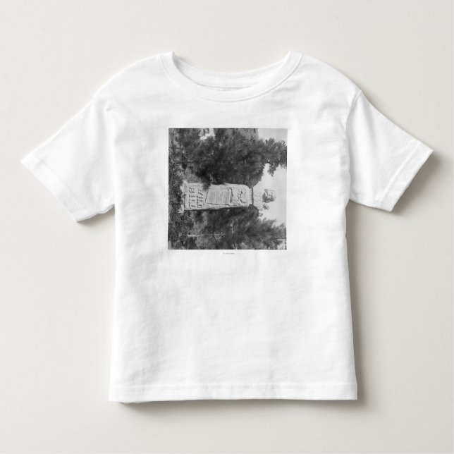Camiseta Infantil Headstone de Photograp grave de Bill Hickock (Frente)