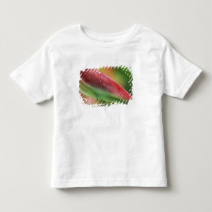Camiseta Infantil Heliconia Pink Flamingo (Heliconia chartacea), Hil