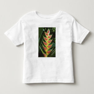Camiseta Infantil Heliconias, Heliconia walkeriana), La Selva