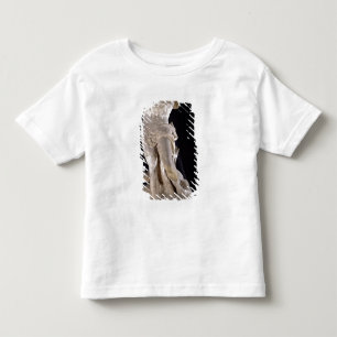 Camiseta Infantil Hercules que luta o Hydra de Lernaean