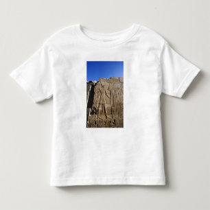 Camiseta Infantil Hieróglifos antigos na parede, Templo de Karnak,