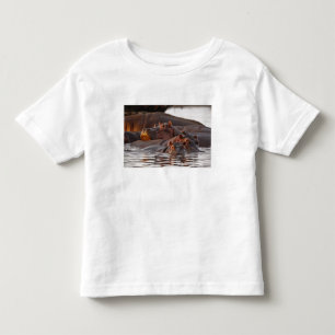 Camiseta Infantil Hipopótamo, Hippopotamus amphibius, Lago