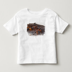 Camiseta Infantil Hipopótamo, Hippopotamus amphibius, Lago