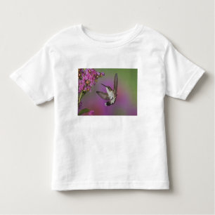 Camiseta Infantil Homem-Juvenil Ruby Throed Hummingbird