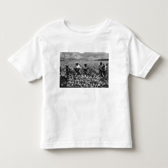 Camiseta Infantil Homens negros que escolhem o abacaxi na colheita - (Frente)