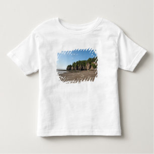 Camiseta Infantil Hopewell Rocks e o Ocean Tidal Exploration