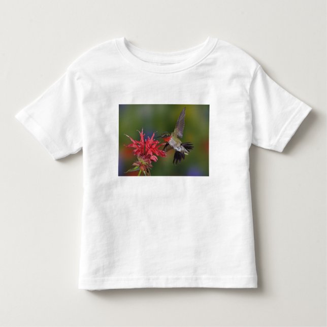 Camiseta Infantil Hummingbird com garganta-seca masculina (Frente)