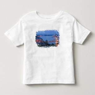 Camiseta Infantil HUNGRIA, Budapeste: Ponte de Szechenyi (Correntes)