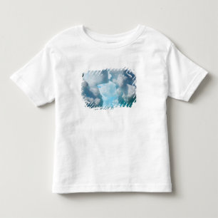 Camiseta Infantil Icebergs fora da ponta sul da América do Sul