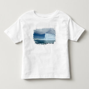 Camiseta Infantil Icebergs fora da ponta sul da Geórgia do Sul 2