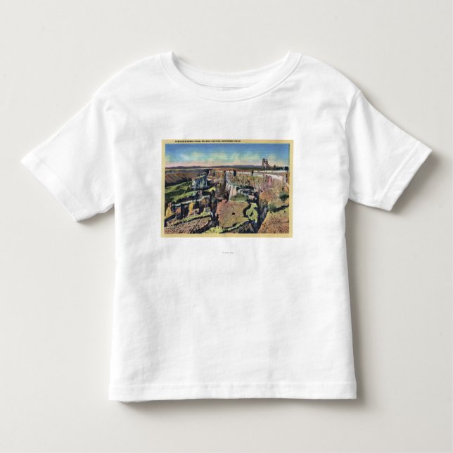 Camiseta Infantil Idaho do sul - fazenda de naufrágio famosa nos (Frente)