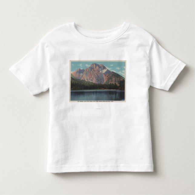 Camiseta Infantil IdahoView de Mt. Moran de Leigh LakeIdaho (Frente)