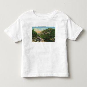 Camiseta Infantil Ideia aérea de terras da angra dos peixes, pensã