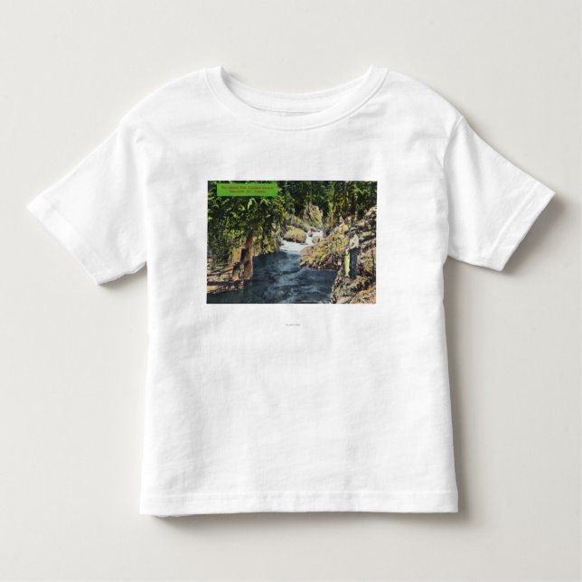 Camiseta Infantil Ideia da garganta de Capilano da piscina Salmon (Frente)
